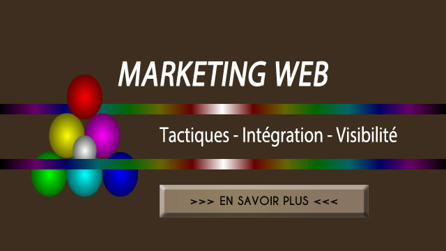 Web Marketing et Marketing du Web